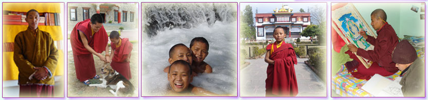 Tibetan Children learning, swimming, petting a dog, standing in front of building